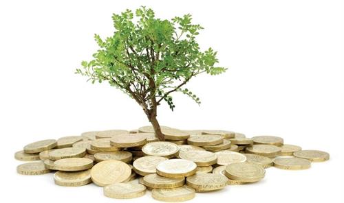 شفافیت و کاهش ریسک، مزیت‌های صندوق‌های چند کالایی